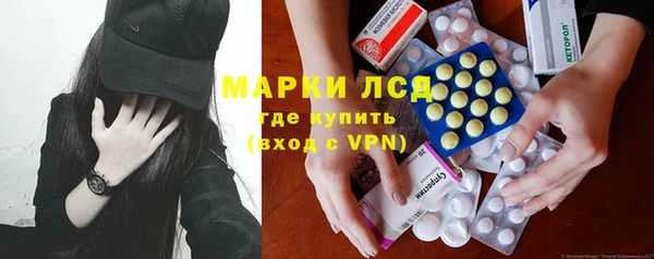 хмурый Абаза