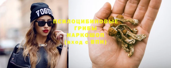 тгк Ельня