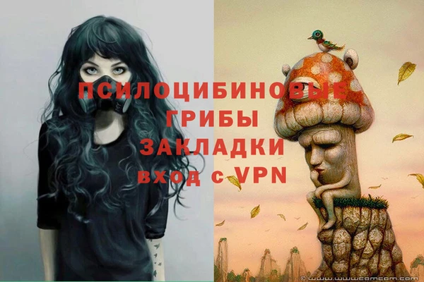 скорость Алексеевка